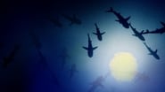 700 requins dans la nuit wallpaper 