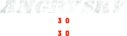 Logo of Angry Sky image size 4316x1247