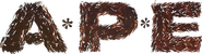 Logo of A*P*E image size 769x208