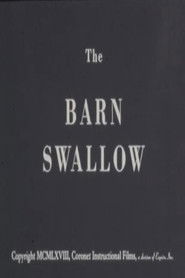 poster The Barn Swallow