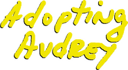 Logo of Adopting Audrey image size 794x438