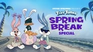 Tiny Toon Spring Break wallpaper 