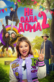 Home Not Alone 2