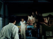 The Ghost of the Village