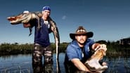 Gator Boys : au secours des alligators  