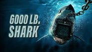 Backdrop of 6000-LB. Shark image size 3840x2160