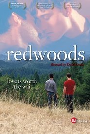 Poster of Redwoods image size 1537x2305