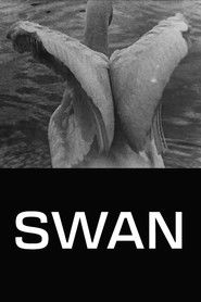 Swan
