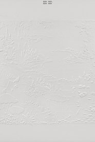 Poster of Bon Iver at AIR Studios (4AD/Jagjaguwar Session) image size 853x1280