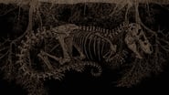 Tyrannosaur wallpaper 