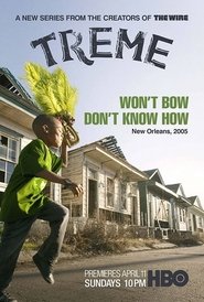 Poster of Treme image size 506x750