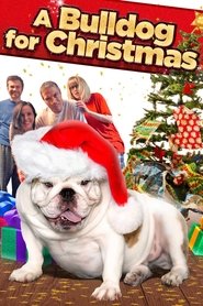 poster A Bulldog for Christmas