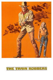 The Train Robbers Poster