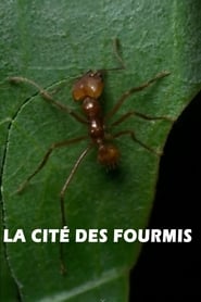 La cité des fourmis FULL MOVIE