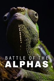 Poster of Battle of the Alphas image size 1000x1500
