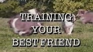 Training Your Best Friend wallpaper 