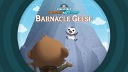 Les Octonauts : Mission Terre season 2 episode 13