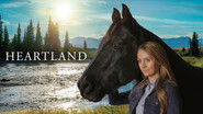 Backdrop of Heartland image size 3840x2160