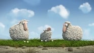 Oh Sheep! wallpaper 