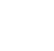 Logo of World's Biggest Great White? image size 1148x1080