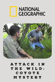 poster Attack in the Wild: Coyote Mystery