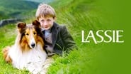 Lassie wallpaper 