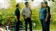 serie Hawaii 5-0 saison 5 episode 2 en streaming