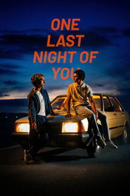poster One Last Night of You