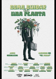How to care for a plant