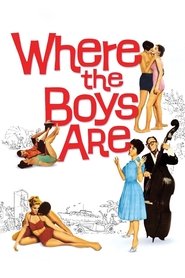 poster Where the Boys Are