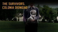 Backdrop of The Survivors: Colonia Dignidad image size 3840x2160