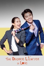 Poster of Divorce Lawyer in Love image size 1200x1800