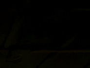 PHASE 16: Birds Without Wings