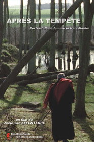 Après la tempête poster