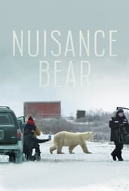 Nuisance Bear