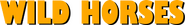 Logo of Wild Horses image size 755x102