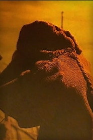 In the Desert poster