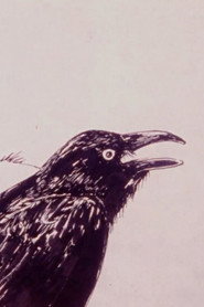 poster Crow
