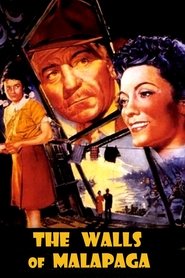 poster The Walls of Malapaga
