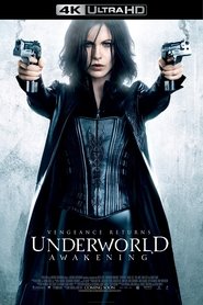 Poster of Underworld: Awakening image size 2000x3000