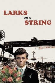 poster Larks on a String