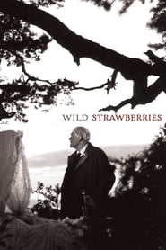 Wild Strawberries 1957 123movies