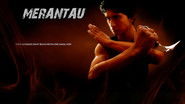 Backdrop of Merantau image size 1372x772