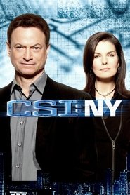 Poster of CSI: NY image size 1708x2562