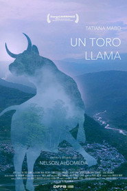 A Bull Calls poster