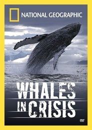 poster Whales in Crisis