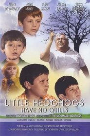 poster Little Hedghogs Have No Quills