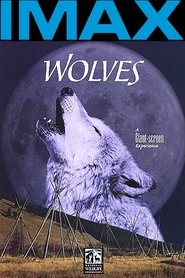 poster Wolves