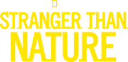 Logo of Stranger Than Nature image size 2676x1300