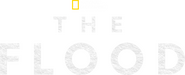 Logo of The Flood image size 1914x781